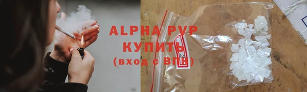 амф Аркадак