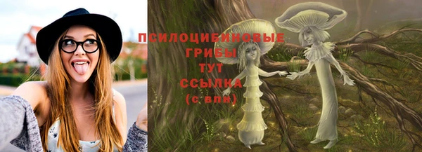 трава Арсеньев